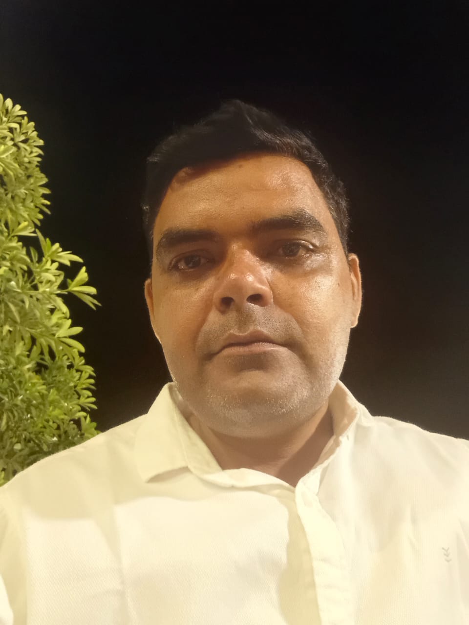 शैलेन्द्र